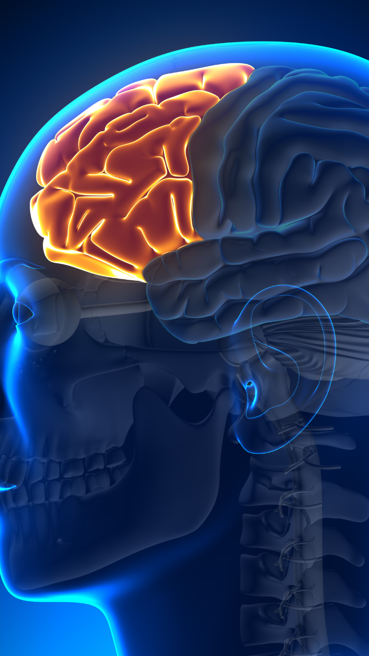 10 foods that are toxic for the brain