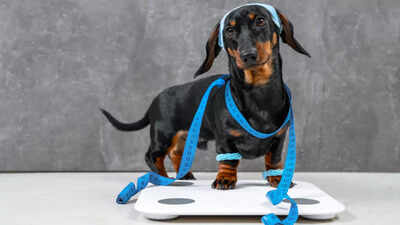 Confused with weighing scale readings? Fitness coach reveals the right time to weigh yourself |