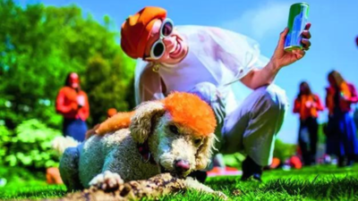Dutch don orange, celebrate king’s birthday with festivities