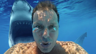 How selfie seekers are contributing to the rise in shark attacks |