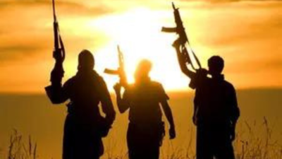 Pakistan’s game: Harbour terrorists, stage captures & gain favours from US