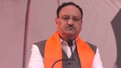 BJP in damage-control mode after Colonel row | India News