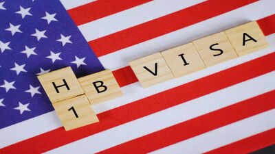 Indian-origin politicians push for domestic H-1B visa renewal, major MAGA row triggered