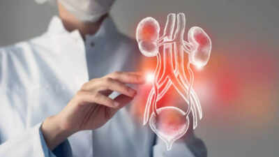 How to check if your kidneys are healthy |