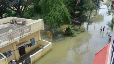 Bengaluru Heavy Rainfall: Sai Layout Flooded Again, Residents Blame Apathy Ahead of Monsoon | Bengaluru News