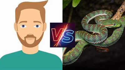 How snakes digest food: Understanding the structural and functional differences from humans |