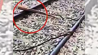 Alert loco pilots foil bid to derail Rajdhani, Kathgodam Express trains | India News