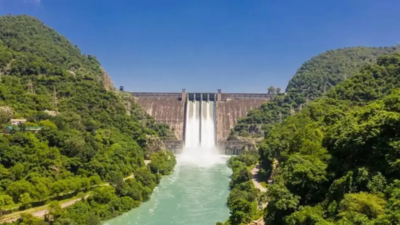 Punjab-Haryana water dispute: Centre decides to post CISF at Bhakra dam | India News
