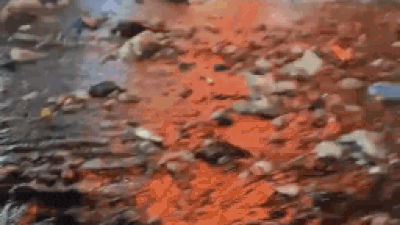 Floating garbage: Rain reduces Mumbai to sea of trash – watch viral video | India News