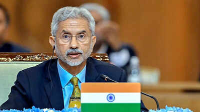 ‘There should be no confusion’: In Germany, Jaishankar says India will deal with Pakistan bilaterally | India News