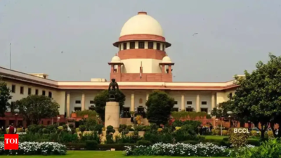 Describing any court as ‘lower courts’ undermines constitutional ethos, says Supreme Court | India News