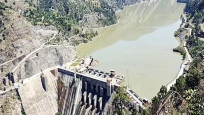 ‘Pakistan put in abeyance goodwill and friendship’: MEA on India suspending Indus Waters Treaty | India News