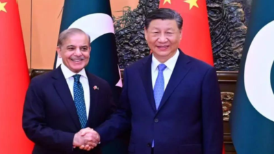 For India, China is main rival & Pakistan an ancillary security issue: US intel | India News
