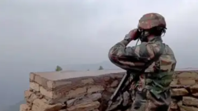 OSA charge on Nagpur woman who crossed LoC | India News