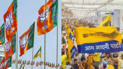 BJP spent Rs 57.6 crore in Delhi assembly elections, nearly 4 times more than AAP | India News