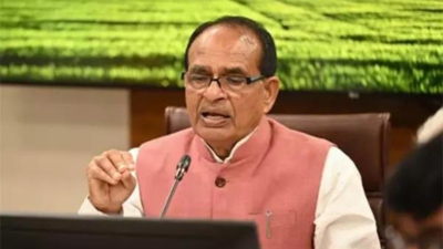 At 354MT, India’s foodgrain output hits an all-time high | India News