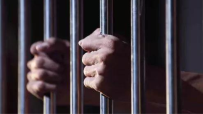 Mumbai man given 4 months rigorous imprisonment after pet dog bites neighbour in lift | India News