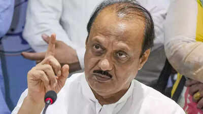Ajit Pawar distances himself from loan waiver poll promise: ‘Did I give the assurance?’ | India News