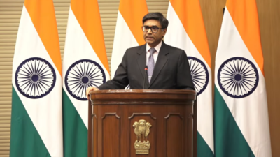 ‘Deranged fantasy’: MEA rejects Pakistan’s claim that India targeting its own cities | India News