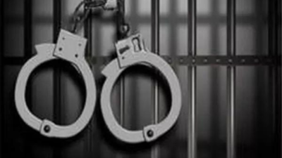 23 ‘subversive elements’ booked under PSA in Srinagar