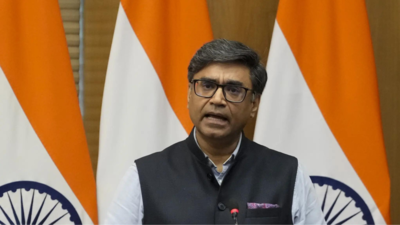 ‘Terrorists talked to masterminds in Pakistan’: Foreign secretary Vikram Misri briefs Parliament panel on Pahalgam attack probe | India News