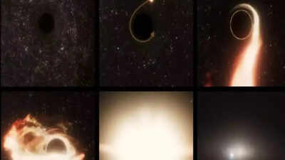 Is Earth in danger? NASA’s alarming discovery of a star being consumed by a black hole spark concerns |