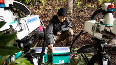 NASA scientists reveal how trees can predict volcanic eruptions from space |