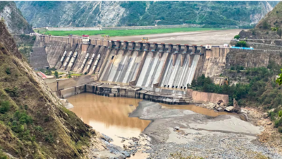 Water wars? How India is planning to divert water from Indus river system, leave Pakistan high and dry | India News